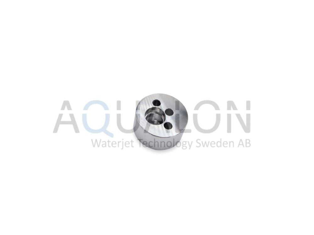 301873-S-IMI Retainer check valve