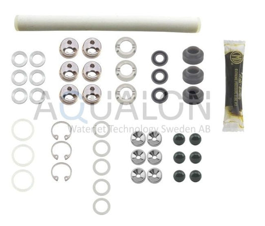 308308-S-IMI Minor Rebuild Kit, EnduroMax
