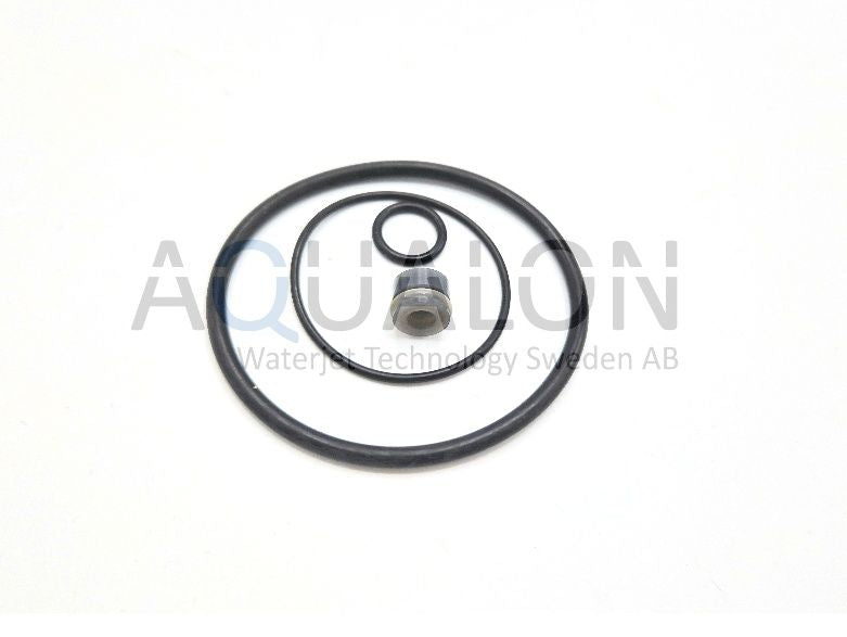 305088-S-IMI Swivel Rebuild Kit,
