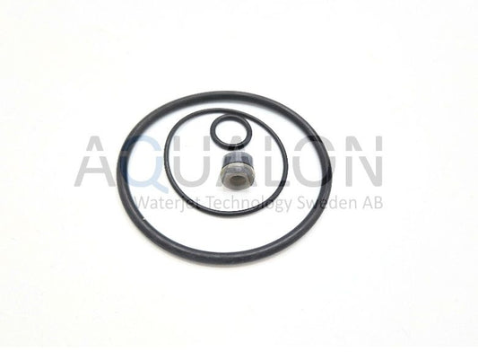 305088-S-IMI Swivel Rebuild Kit,