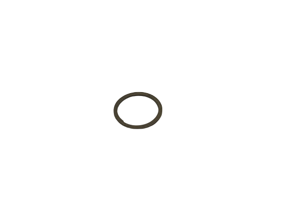 202609  Retaining Ring, Port Adaptor