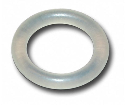 Filter O-Ring - OEM # : 202545